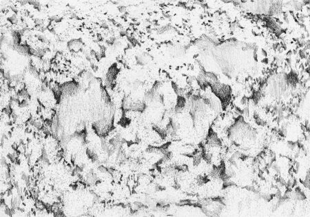 Sin título. Serie ausencia. Grafito sobre papel 21x29 cm. Año 2019.