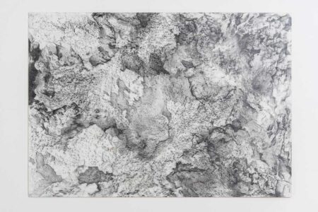 Serie ausencia Nro. 1. Grafito sobre papel 70x100 cm. Año 2019.