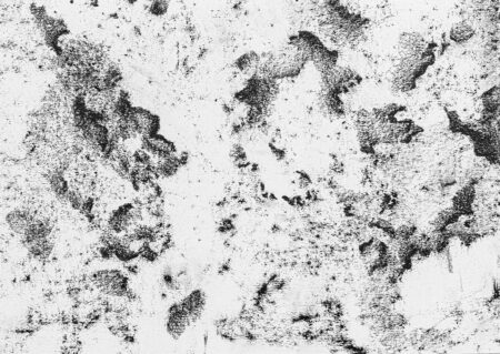 Sin título. Serie ausencia. Grafito sobre papel 21x29 cm. Año 2019.