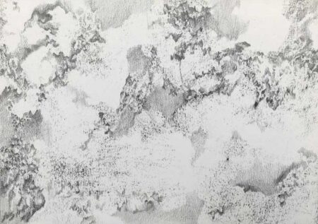 Sin título. Serie ausencia. Grafito sobre papel 21x29 cm. Año 2019.