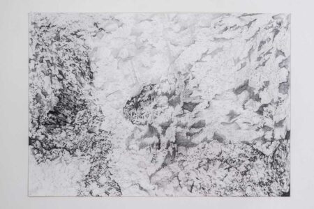 Serie ausencia Nro. 4. Grafito sobre apel 70x100 cm. Año 2019.