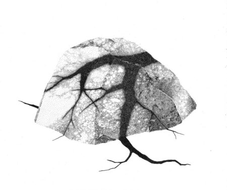 Simbiosis. Tinta sobre papel 35x35cm. Año 2020.