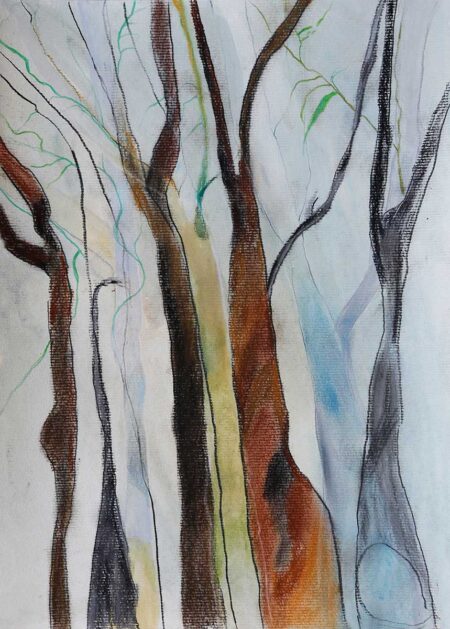 Sin titulo. Serie Incendios. Tintas, lápices acuarelables y tiza pastel sobre papel 24,50x34,50 cm. Año 2020.