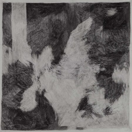 Sin título. Grafito sobre papel 65x65 cm. Año 2020.